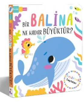 Bir Balina Ne Kadar Büyüktür?
