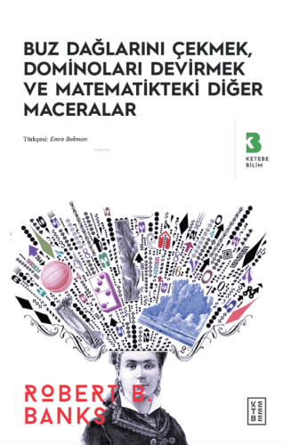 Buz Dağlarını Çekmek, Düşen Dominolar ve Diğer Uygulamalı Matematik Ma